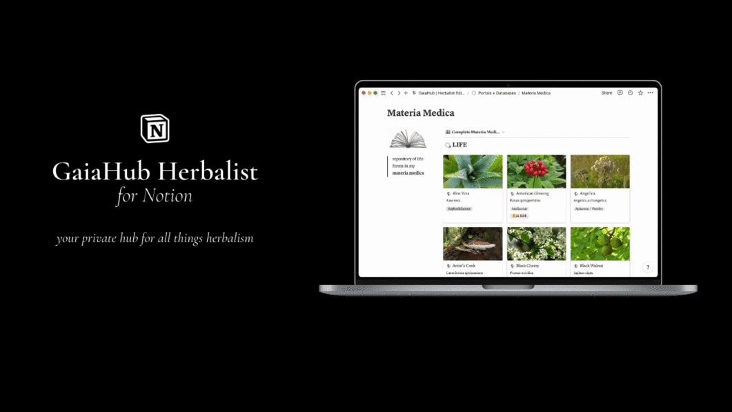 GaiaHub Herbalist - The Ultimate Notion System for Herbalists