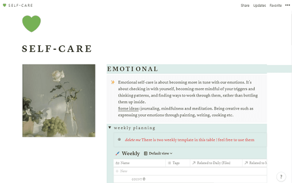 Self Care Free Notion Template Prototion