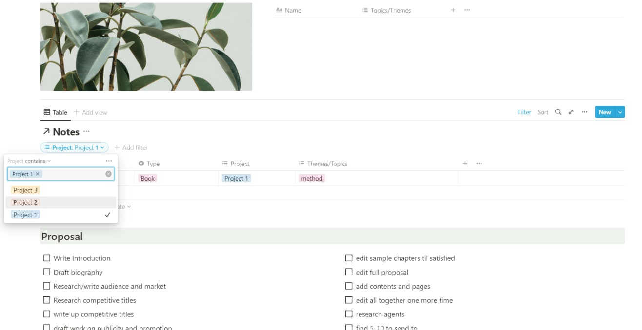 Writing Projects - Light and Planty | Prototion