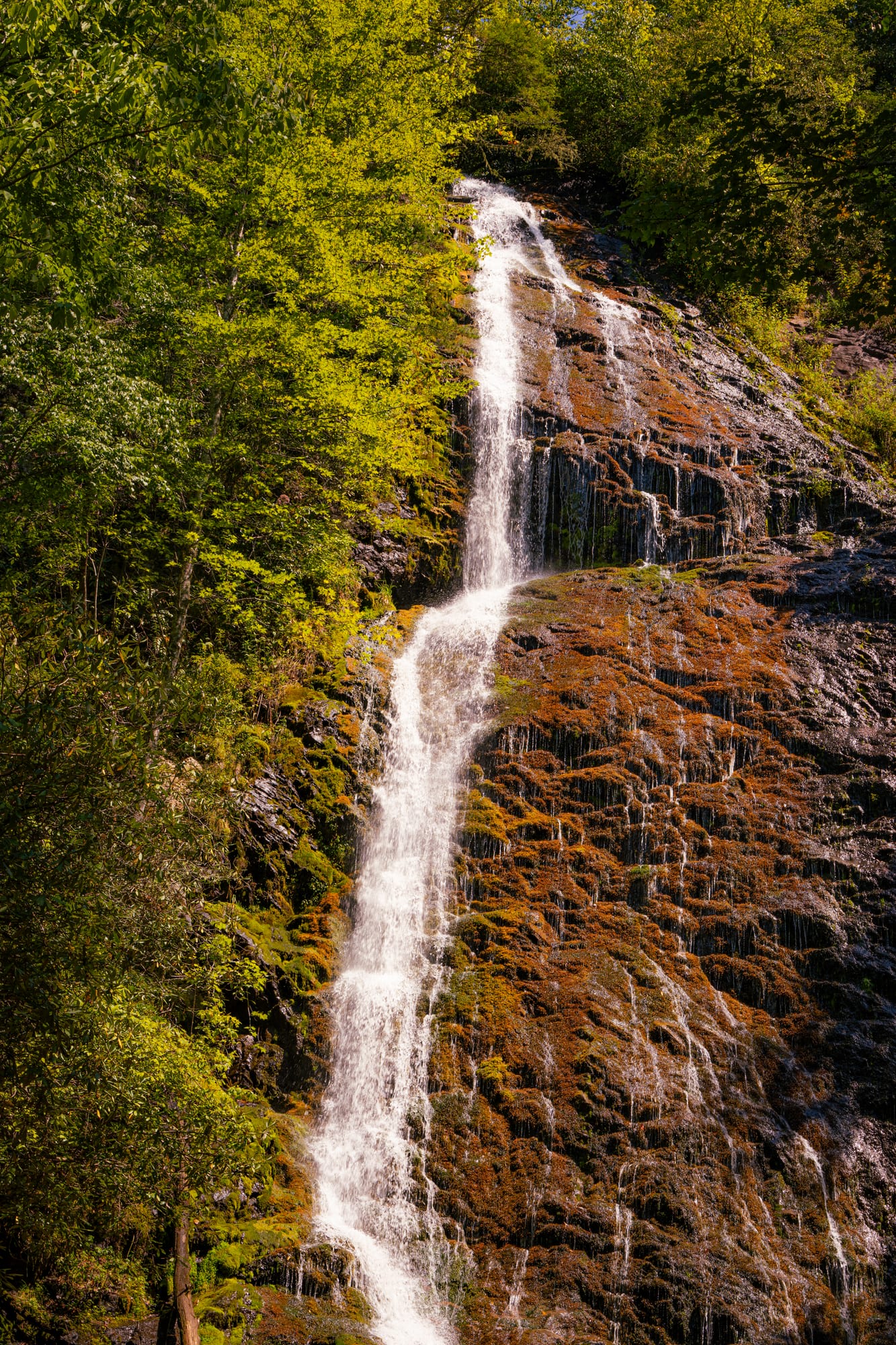 A close view of Mingo Falls — rust-stained rock and moss turning gold where the light lands, water falling behind.