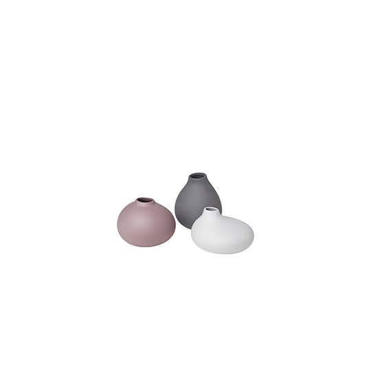 Blomus Nona Vas Rose/Grey 3-pack