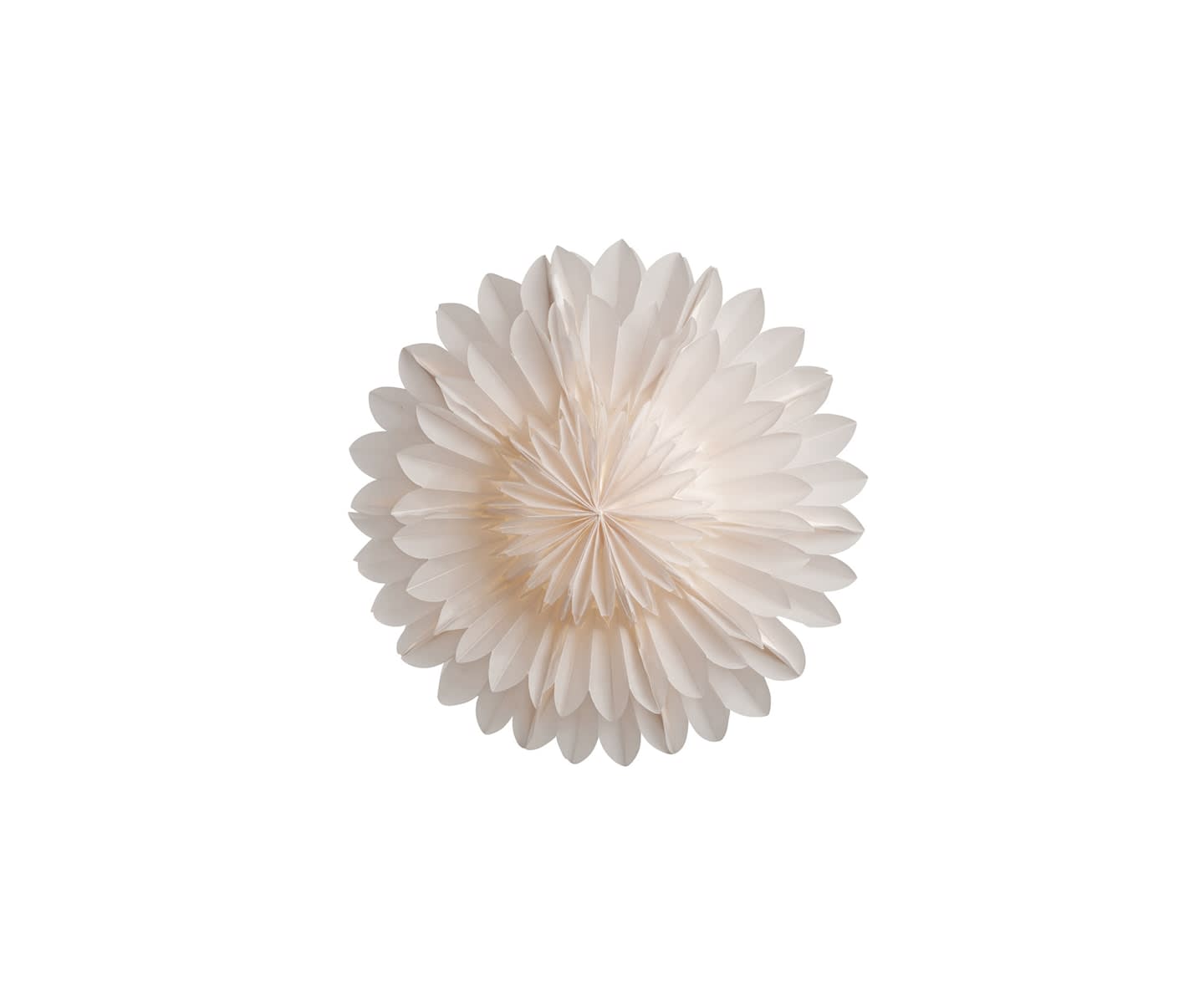 Watt &amp; Veke Lotus Weihnachtsstern White 60