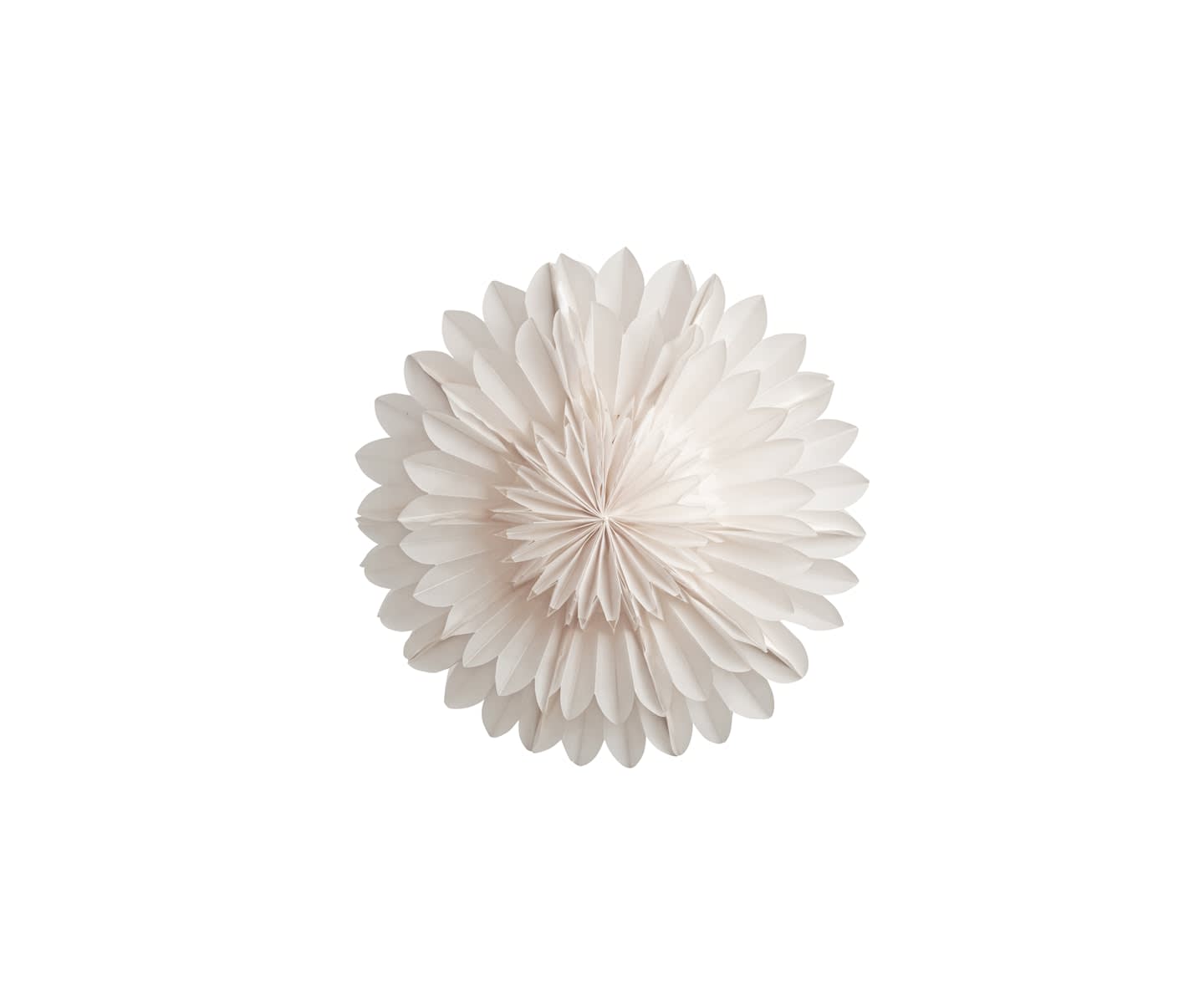 Watt &amp; Veke Lotus Weihnachtsstern White 44cm