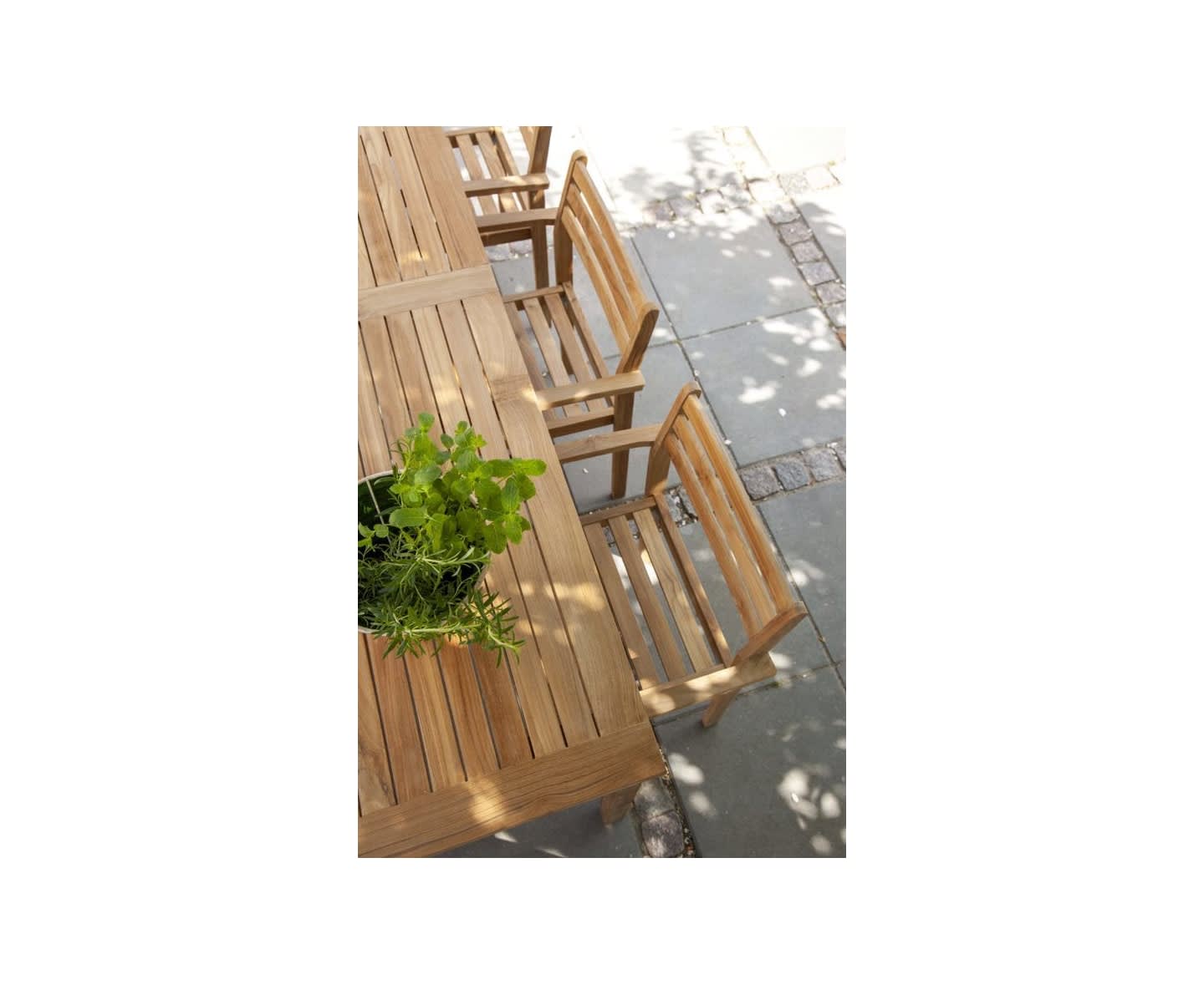 Cinas Oxford Karmstol Teak