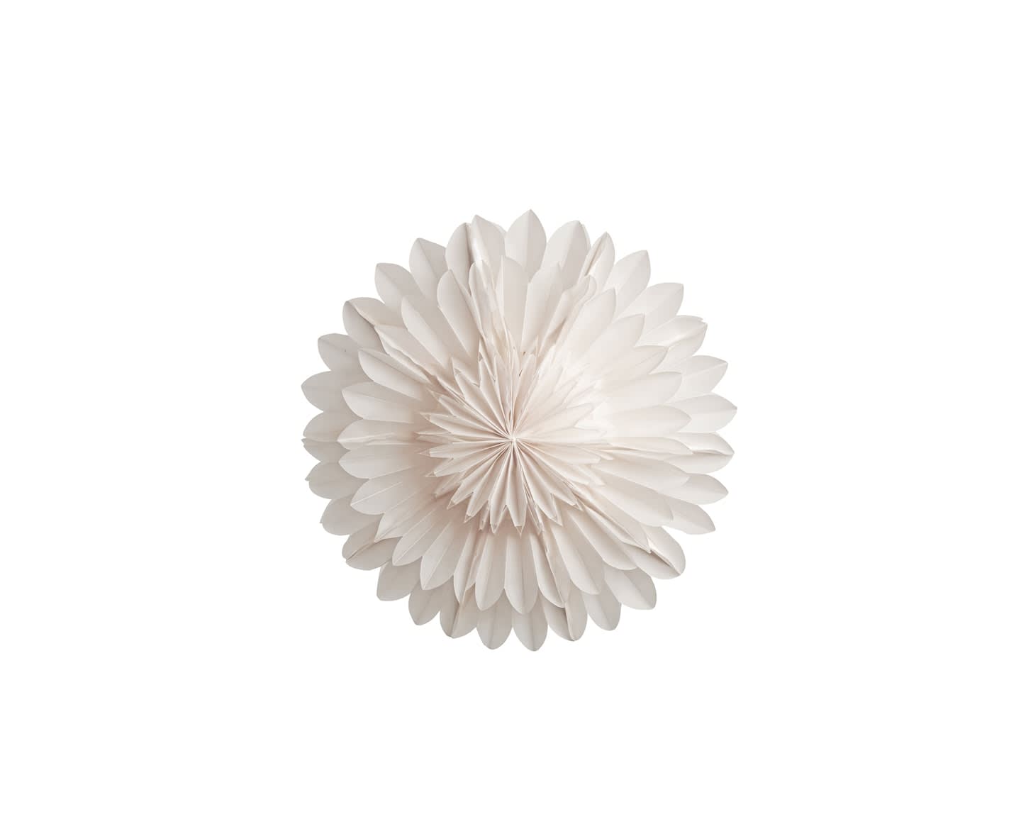 Watt &amp; Veke Lotus Weihnachtsstern White 60