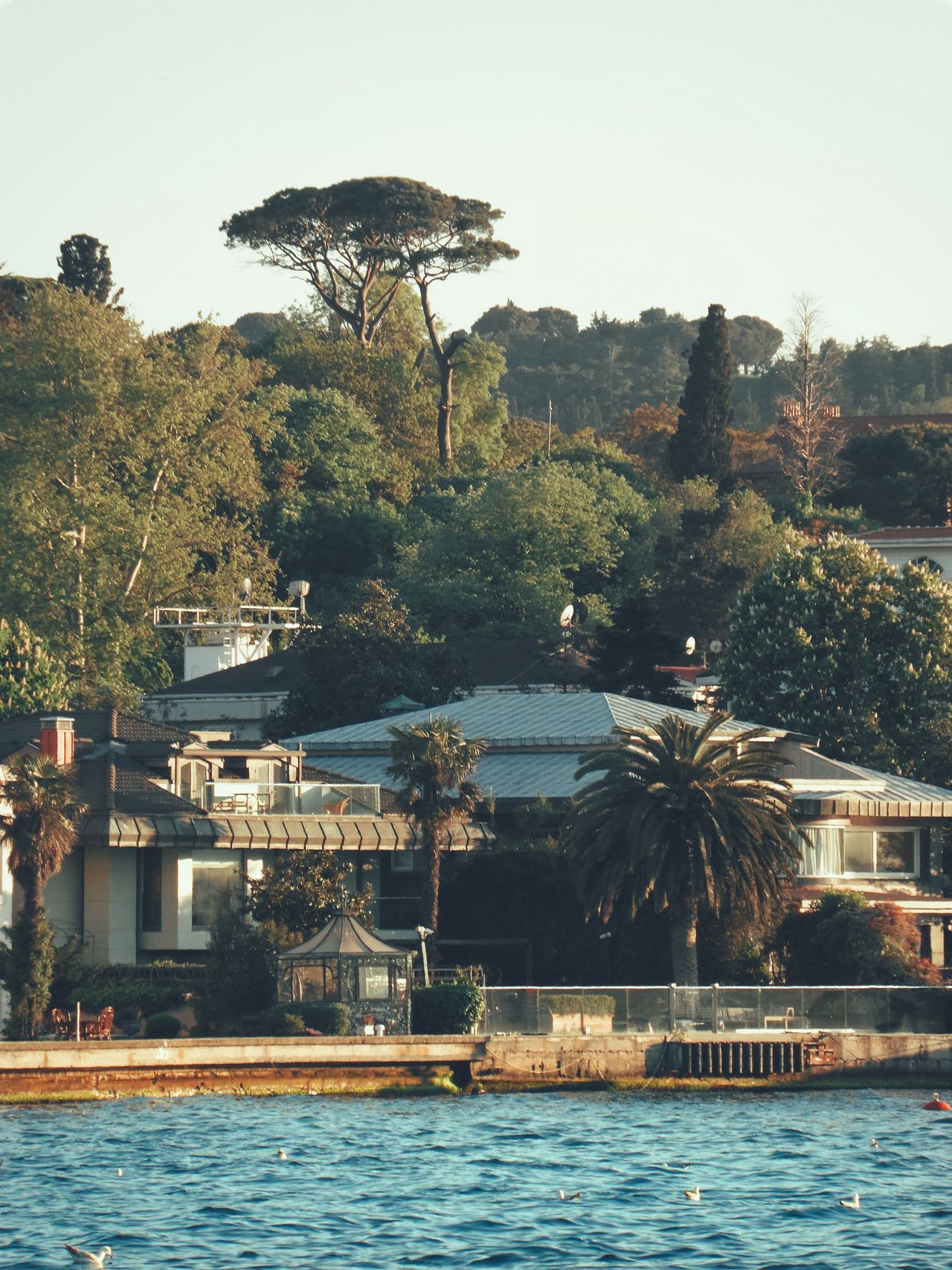 Premium Villas