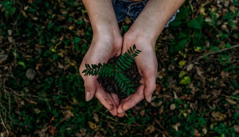 Green Procurement