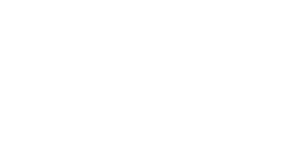Ebix Cash