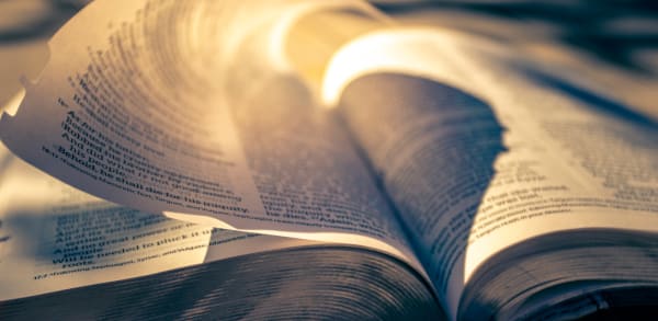 Update with descriptive alt text