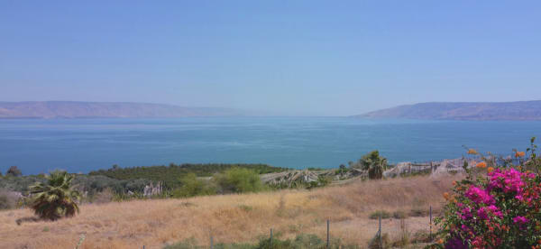 overlooking a body of water