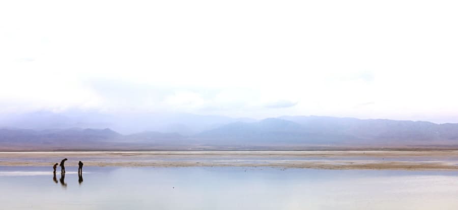 Update with descriptive alt text