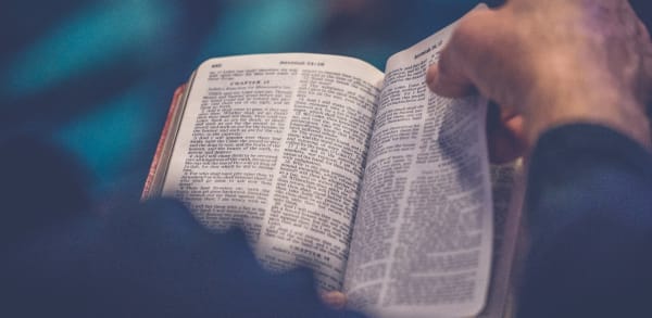 The Holy Bible (Part 1): God’s Great Story