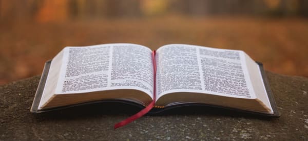 How to Share the Bible with LDS