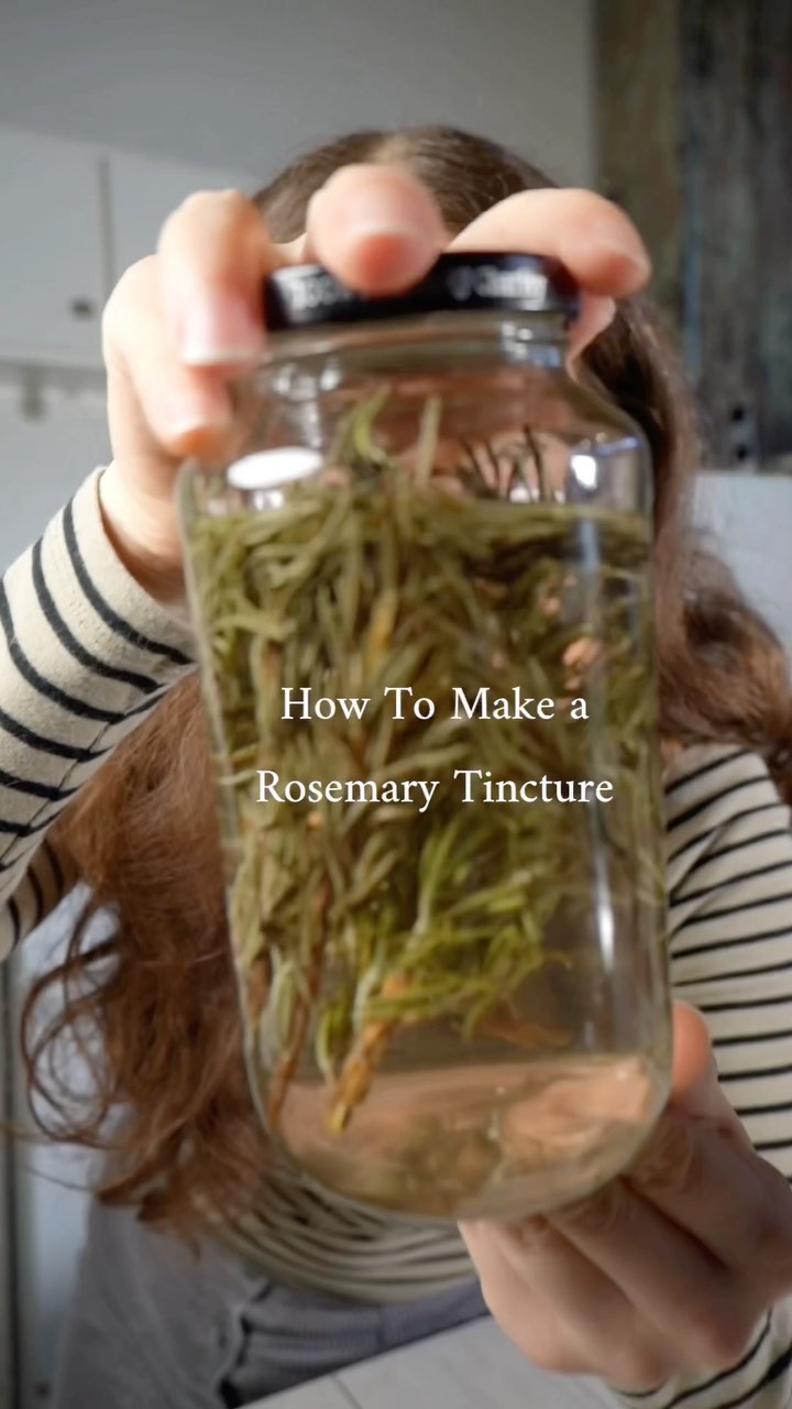 𝙼𝚊𝚔𝚒𝚗𝚐 𝚊𝚗 𝙷𝚎𝚛𝚋𝚊𝚕 𝚃𝚒𝚗𝚌𝚝𝚞𝚛𝚎 🍃🌿 from scratch is prett...