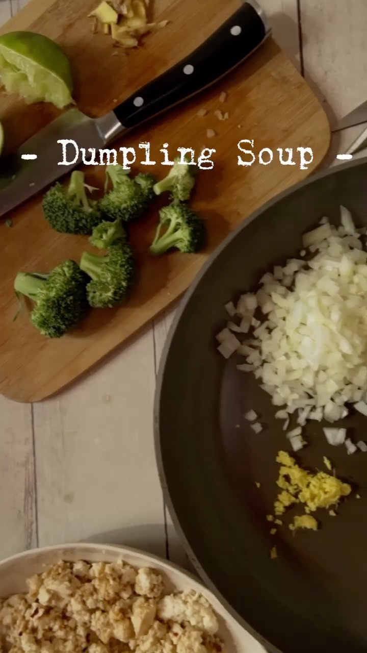 𝙳𝚞𝚖𝚙𝚕𝚒𝚗𝚐 𝚂𝚘𝚞𝚙 (𝚅𝚎𝚐𝚊𝚗) 🥟🍲 After seeing an endless a...