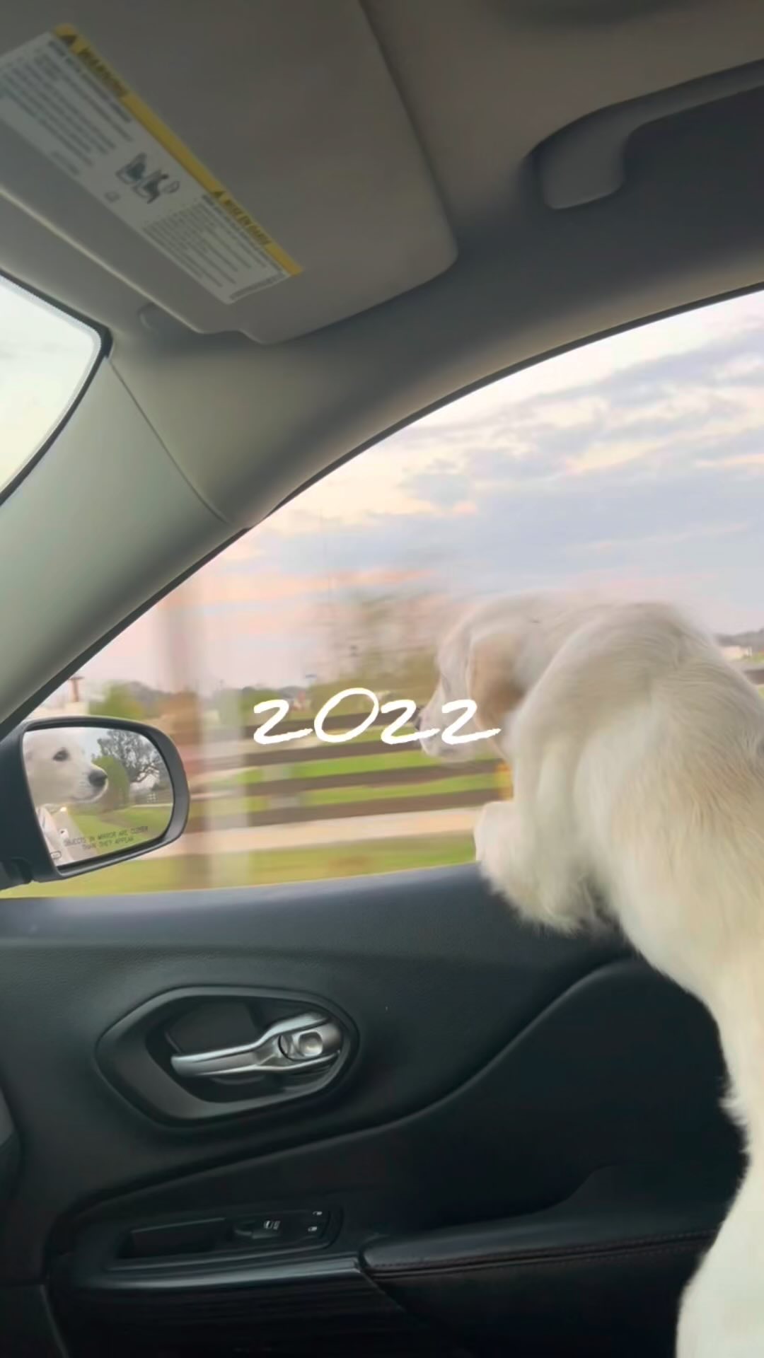 2022. 365 days. So many life changing moments, new...