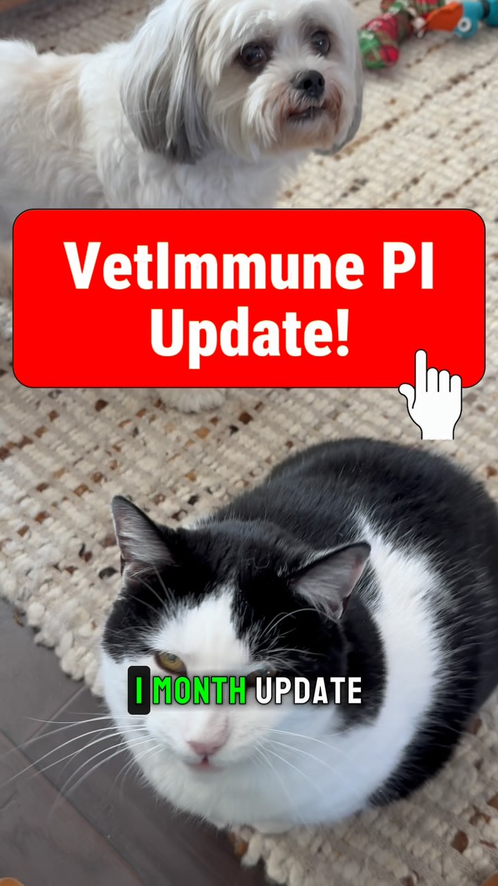 @vetimmune update. Check them out for your fur bab...