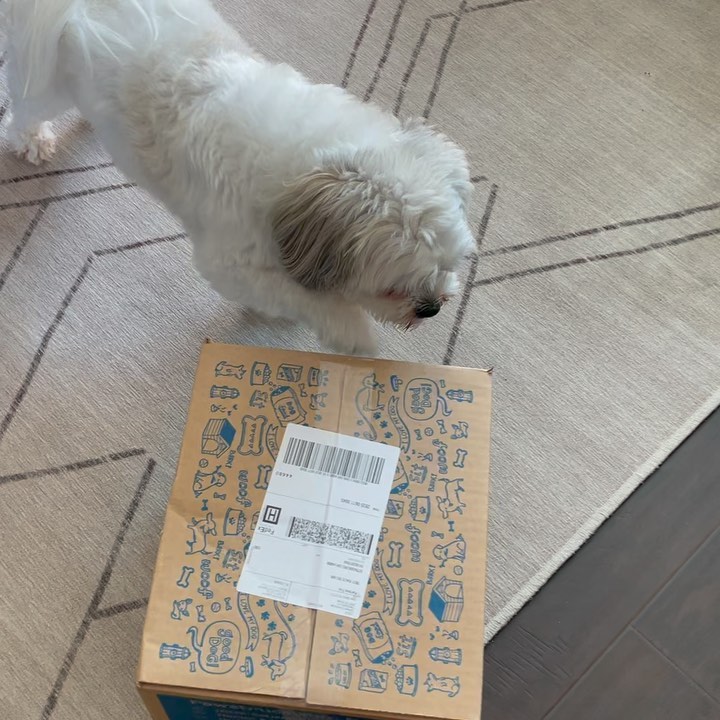 I ordered Rocky his favorite @pawstruck treats to ...