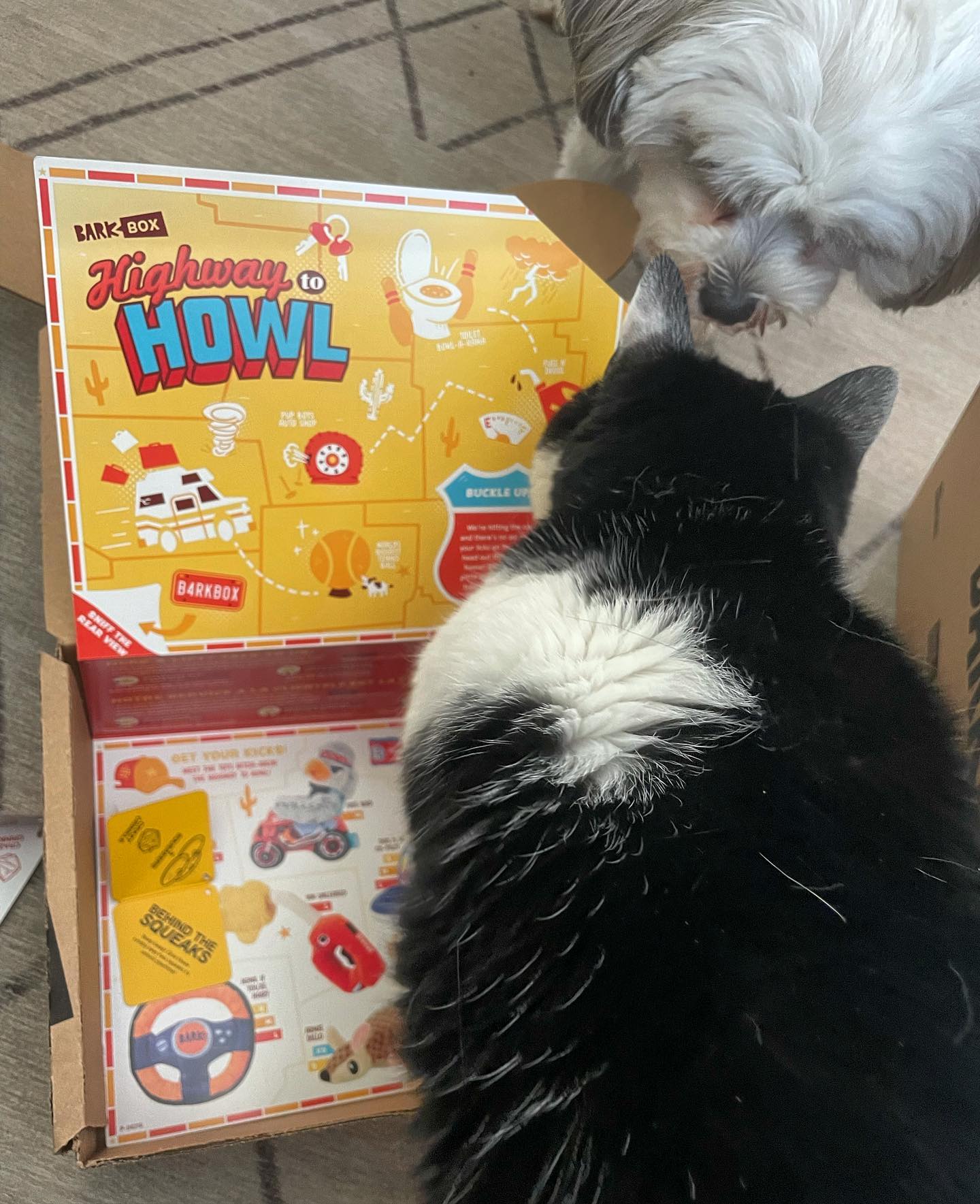 Seems that both fur babies love @barkbox  Rocky lo...