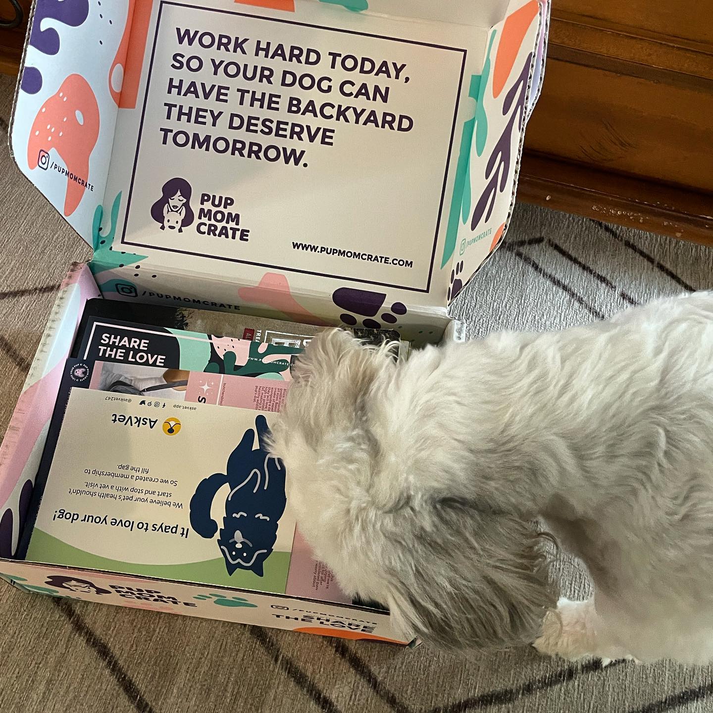 Rocky and I both love when our #PupMomCrate arrive...