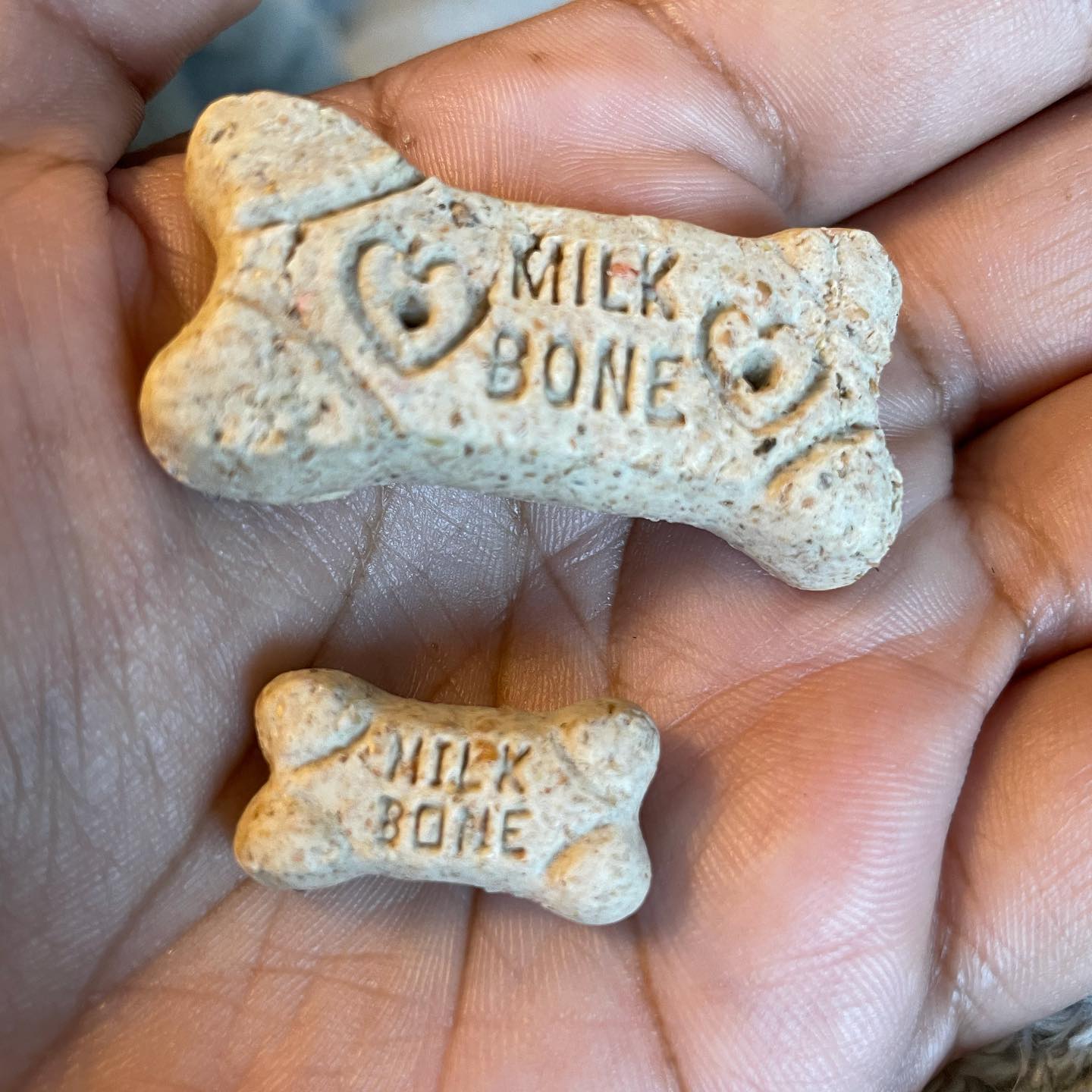 Usually Rocky’s treats are the tiny ones and we pl...