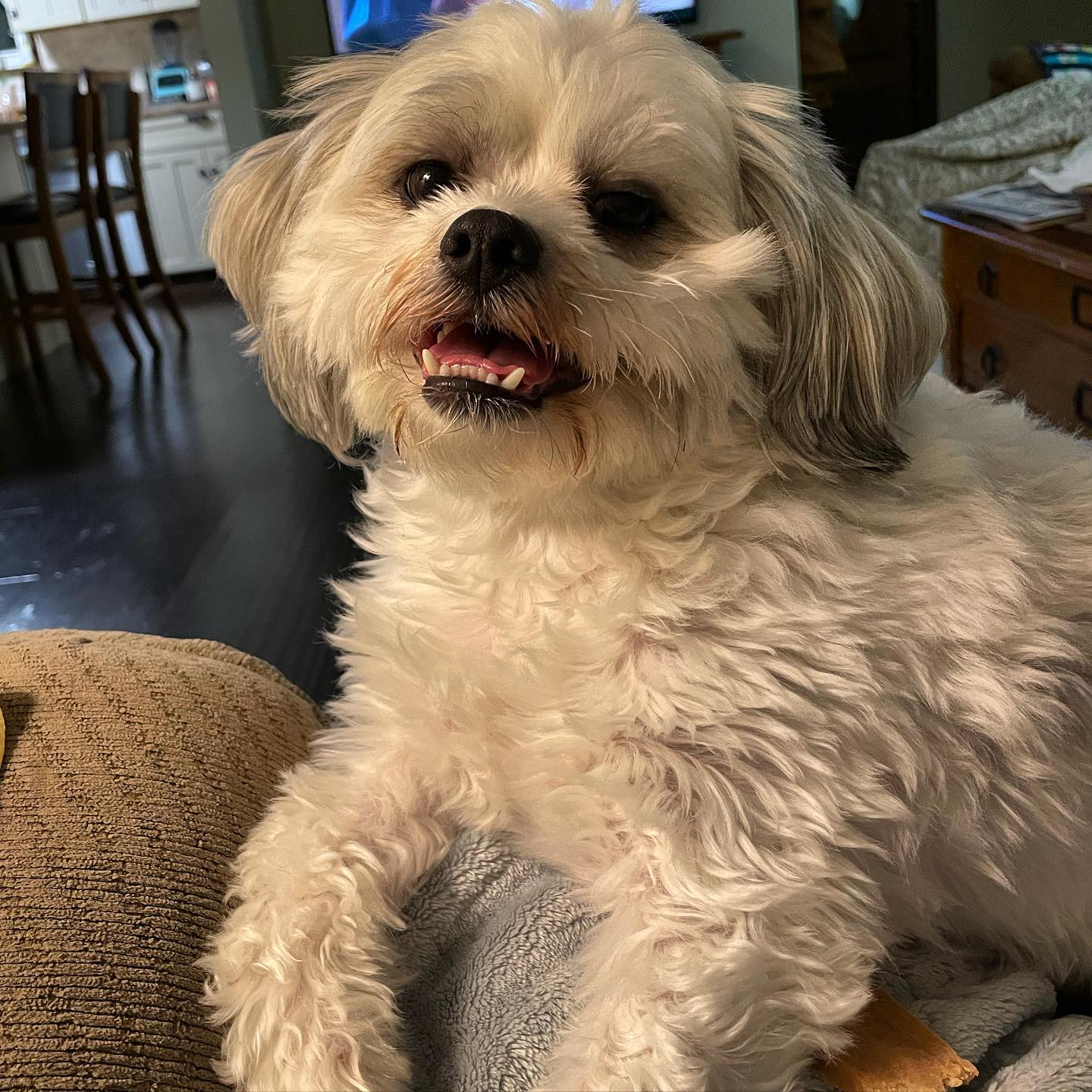 How YOU doin?...
