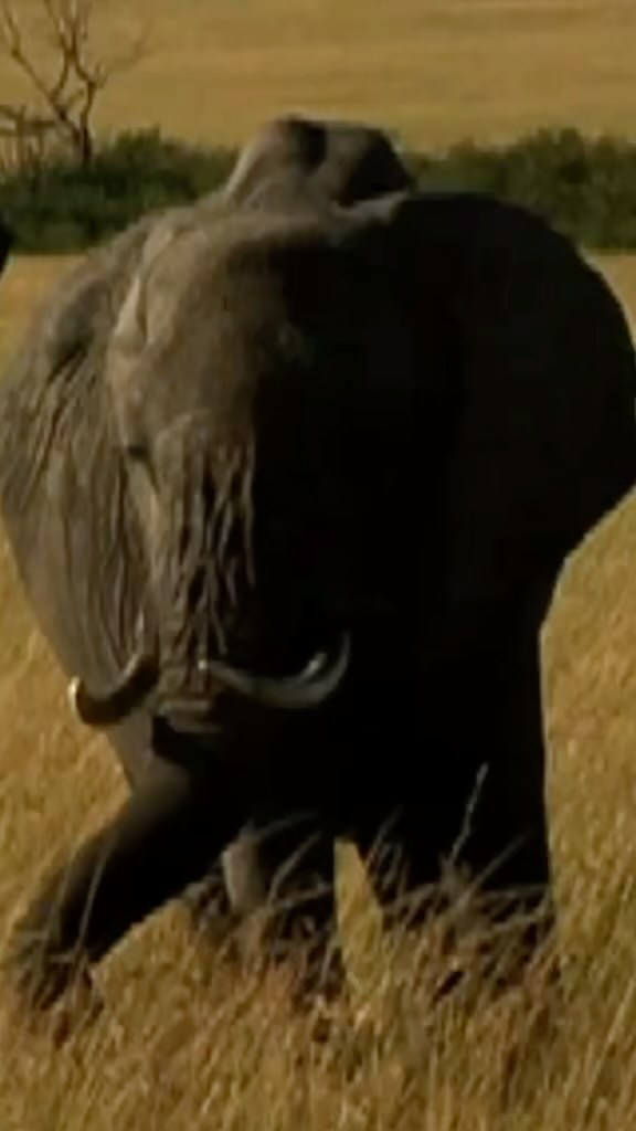 My epic time in Kenya was a milestone for my show ...