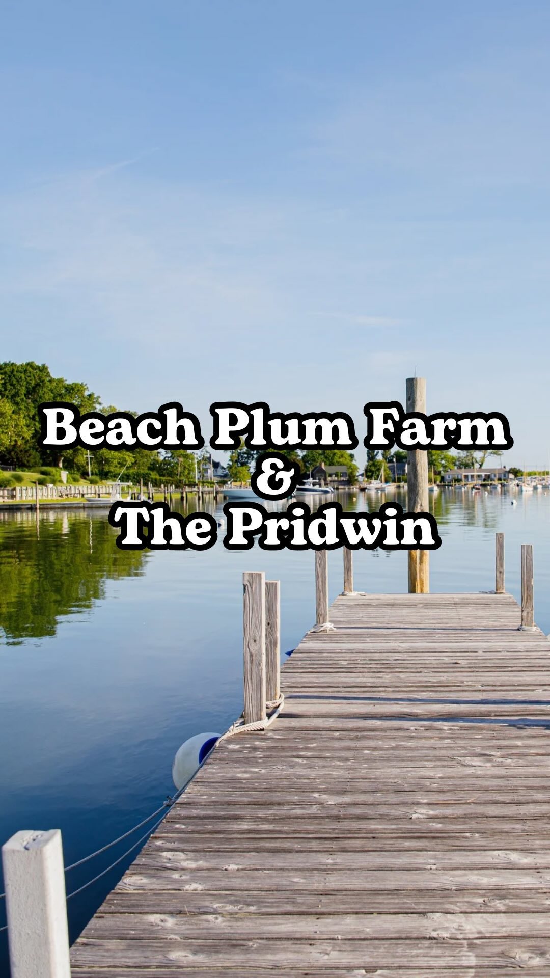 How to plan the BEST family vacation with Cape Res...