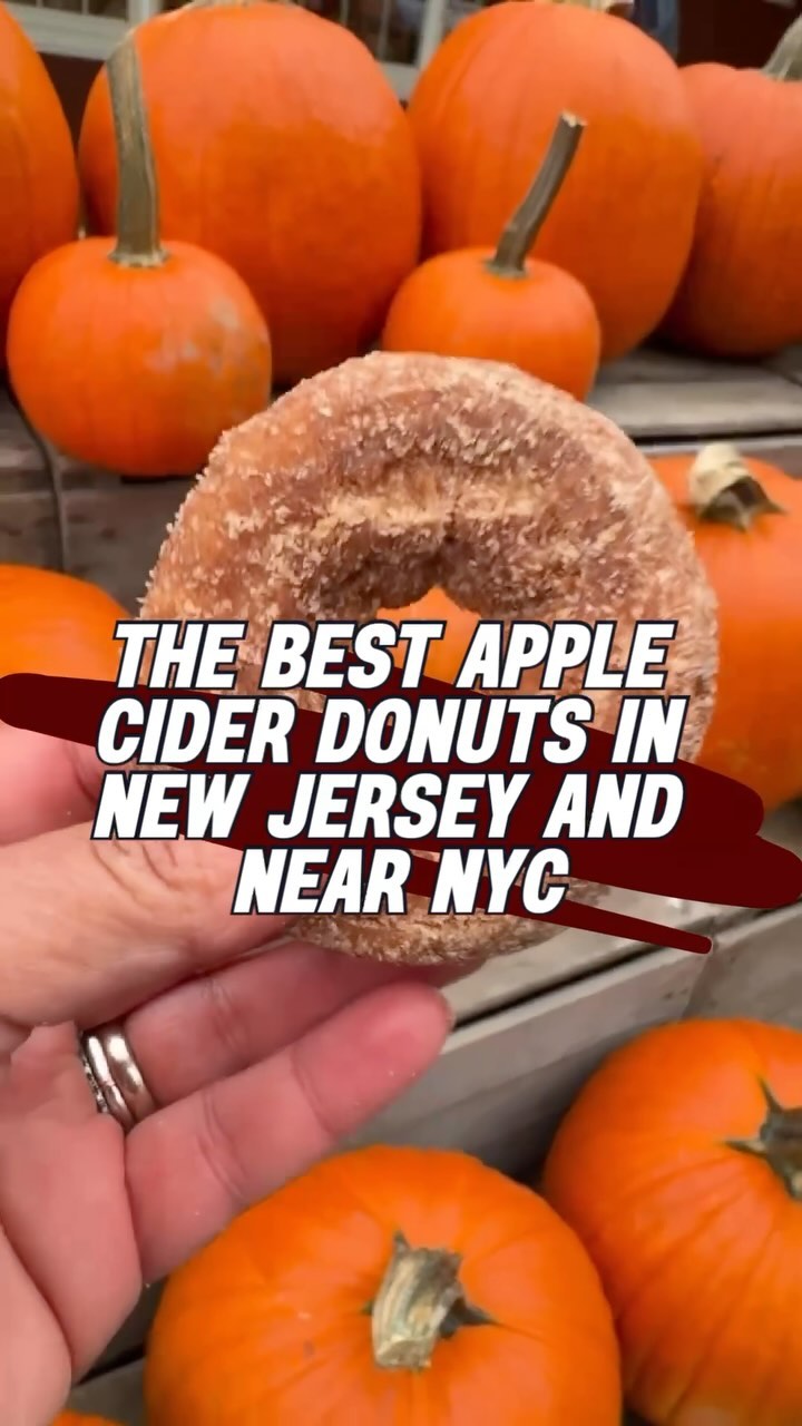🍁🍩🍂 We’re obsessed! We might be biased, but we thi...