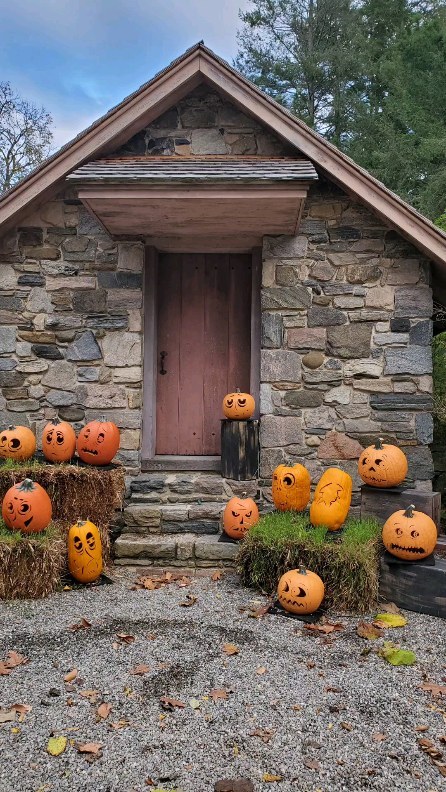 🍂🎃🍂We're heading into prime pumpkin picking season...