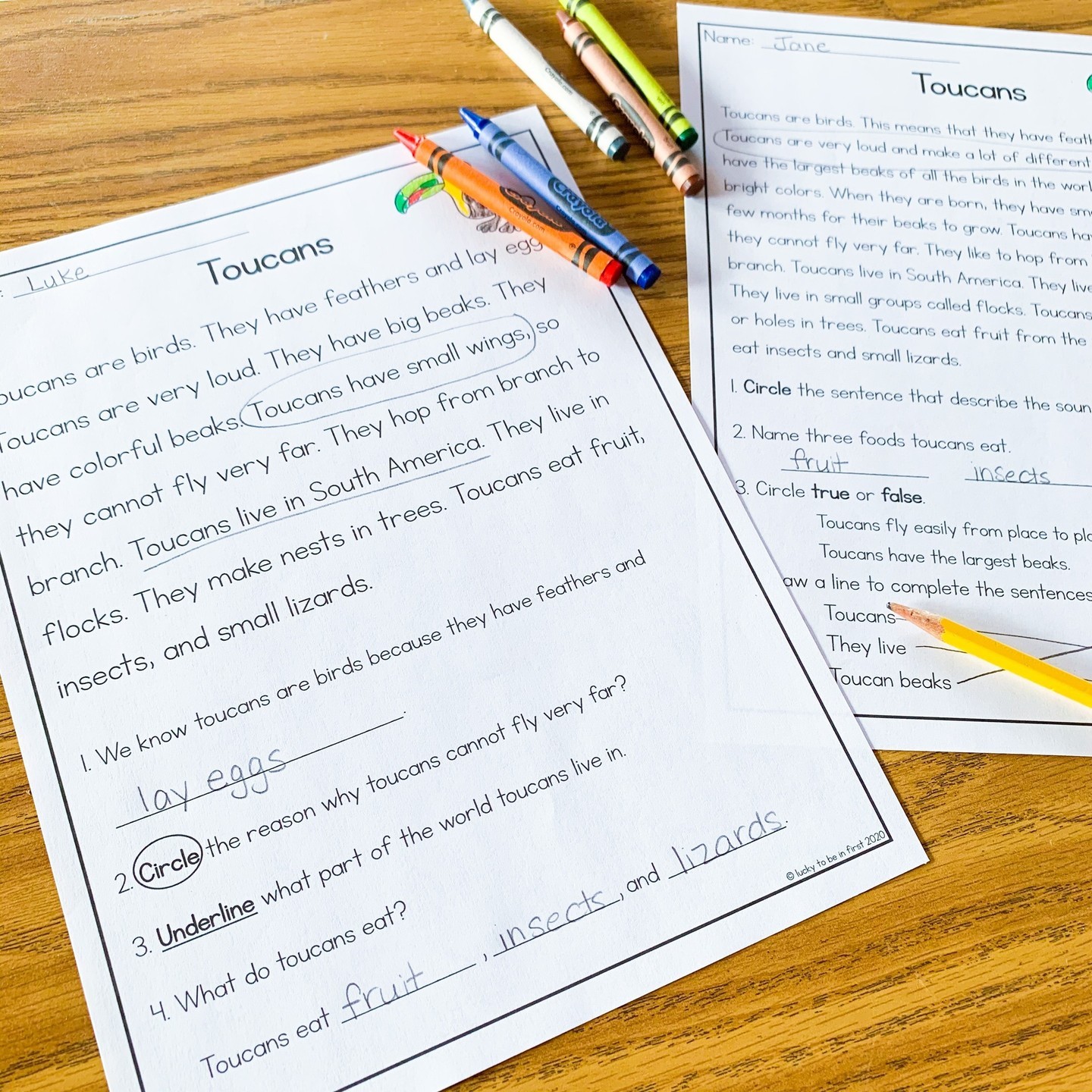 Have you tried close reading in your classroom? ⁠
...