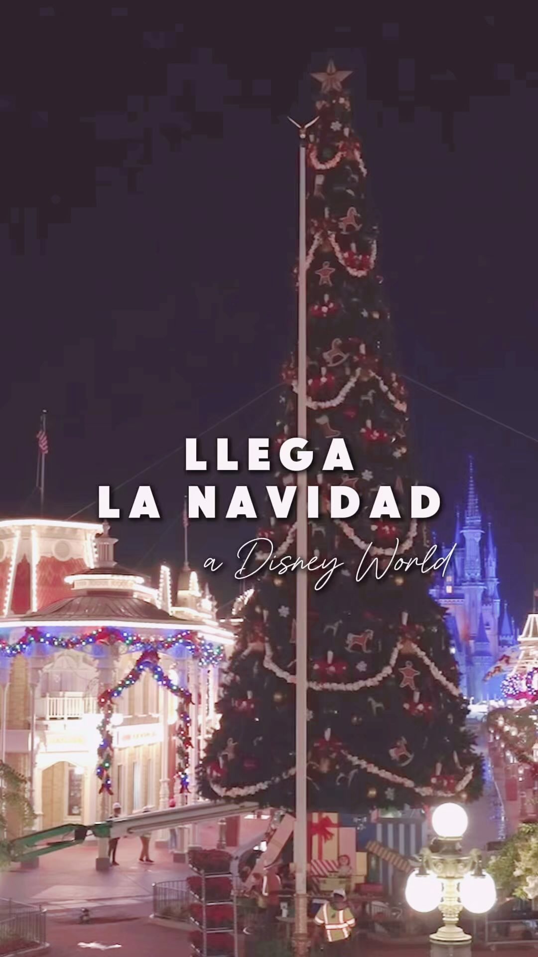 ¿Con quién celebrarías las fiestas de fin de año e...