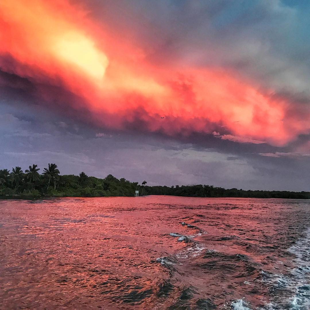La belleza del atardecer...
Sunset's beauty 🌅#suns...