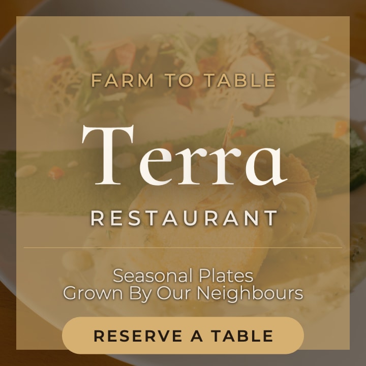 A warm, elegant promotional graphic for Terra Restaurant — a farm-to-table dining experience. Seasonal plates, local ingredients, earthy tones. Include an invitation to reserve a table.