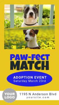 PET ADOPTION - Pets Video Ad