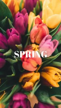 SPRING BEAUTY - Spring Video Ad