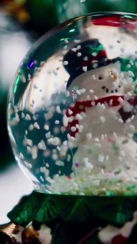 SNOW GLOBE CARD - Christmas Video Card
