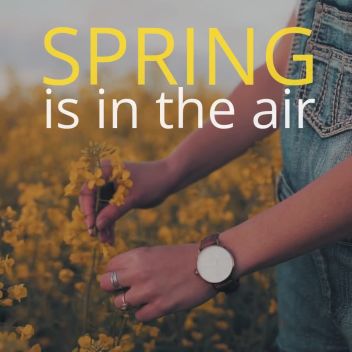 SPRING SALE - Spring Video Ad