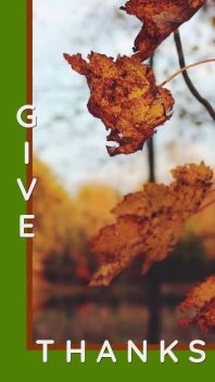 GIVE THANKS - Thanksgiving Video Ad