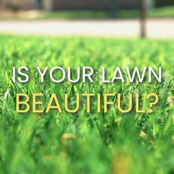 BEAUTIFUL LAWN - Summer Video Ad