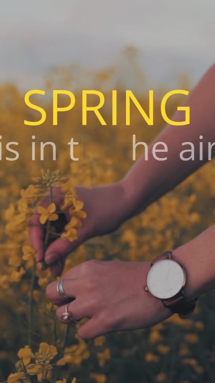 SPRING SALE at 0 seconds