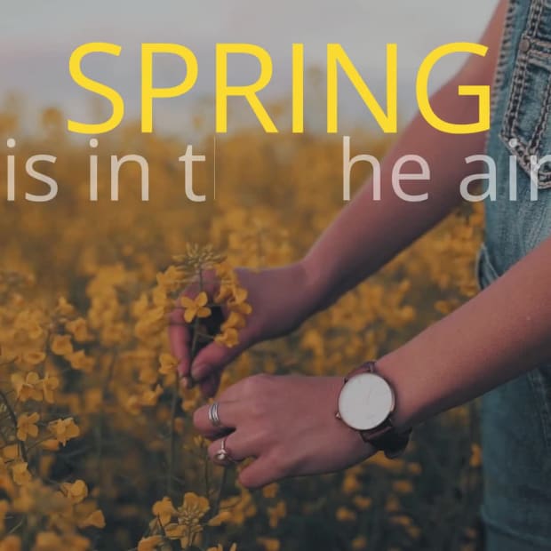 SPRING SALE at 0 seconds