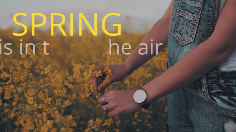 SPRING SALE at 0 seconds