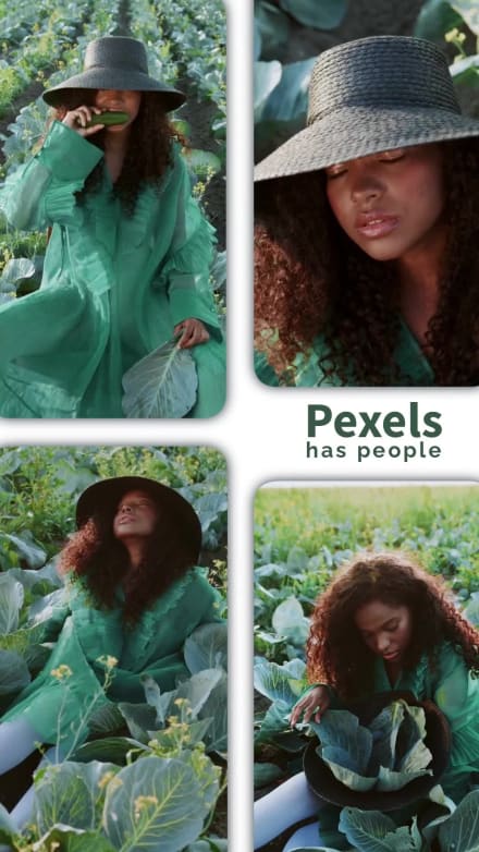 PEXELS VIDEO SLIDESHOW at 1 seconds