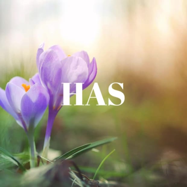 SPRING BEAUTY at 1 seconds