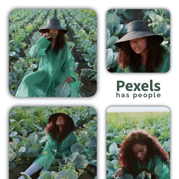 PEXELS VIDEO SLIDESHOW at 1 seconds
