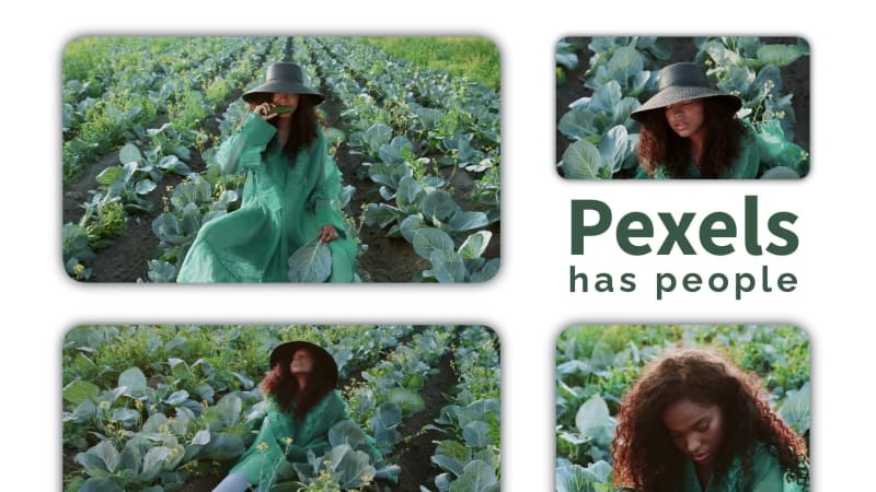 PEXELS VIDEO SLIDESHOW at 1 seconds