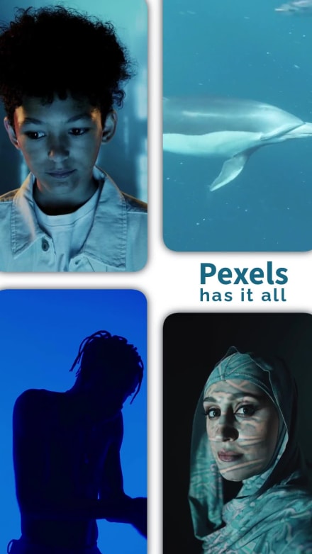 PEXELS VIDEO SLIDESHOW at 10 seconds