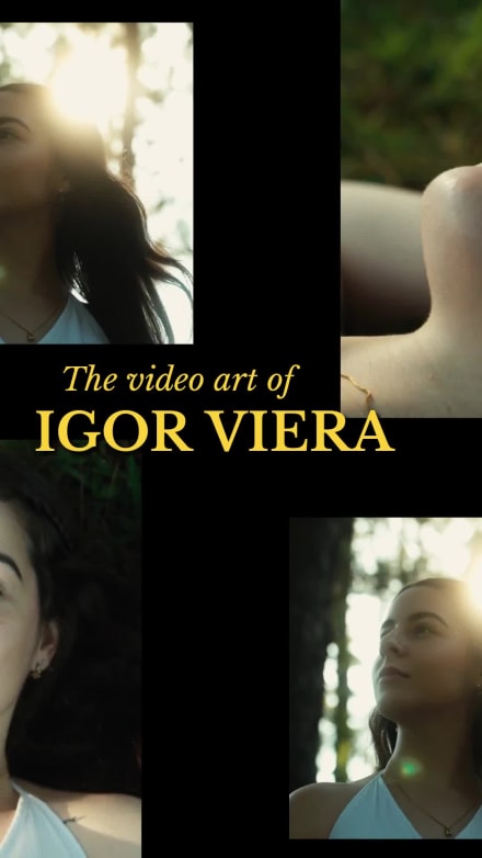 VIDEOGRAPHY SHOW at 11 seconds