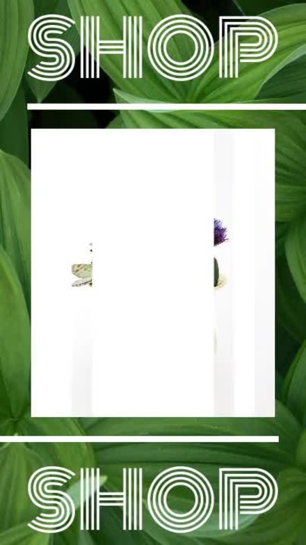 SHOP at 11 seconds